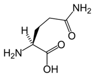 L-glutamin a Keto Diet-ben